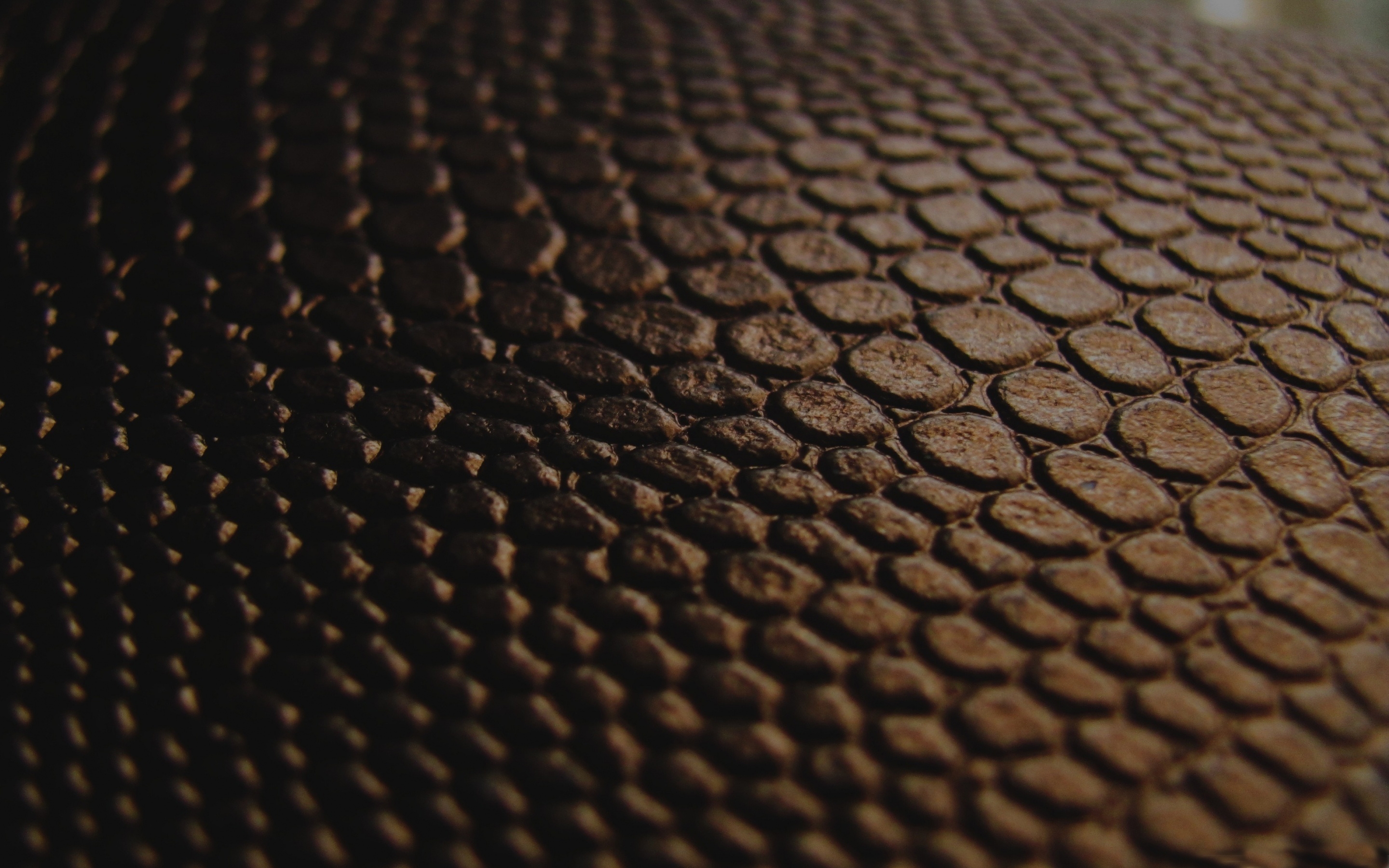 Black Snake Skin Wallpaper - WallpaperSafari