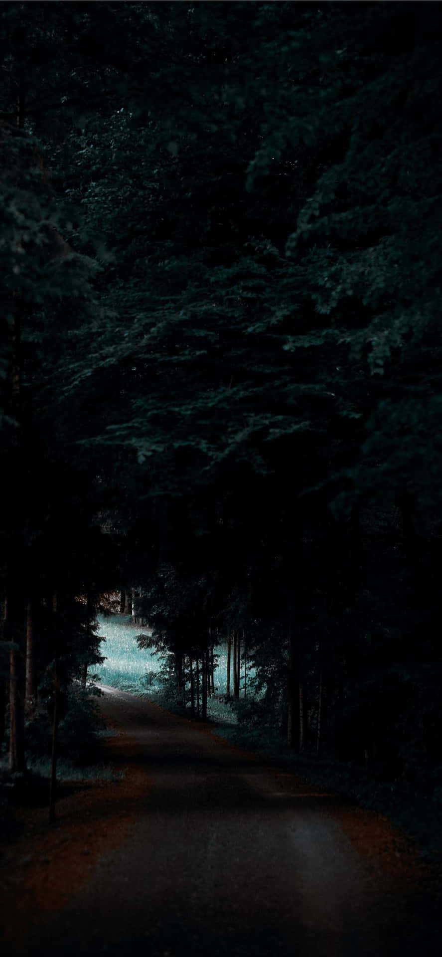 The Beautiful Oled Display Of Apple iPhone X Wallpaper