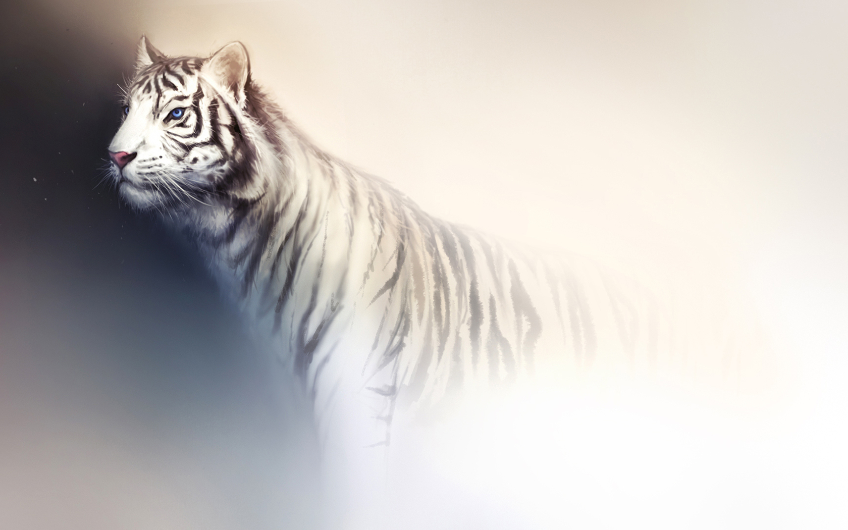 Tiger On White Wallpaper For IPhone Wallpaper WallpaperLepi