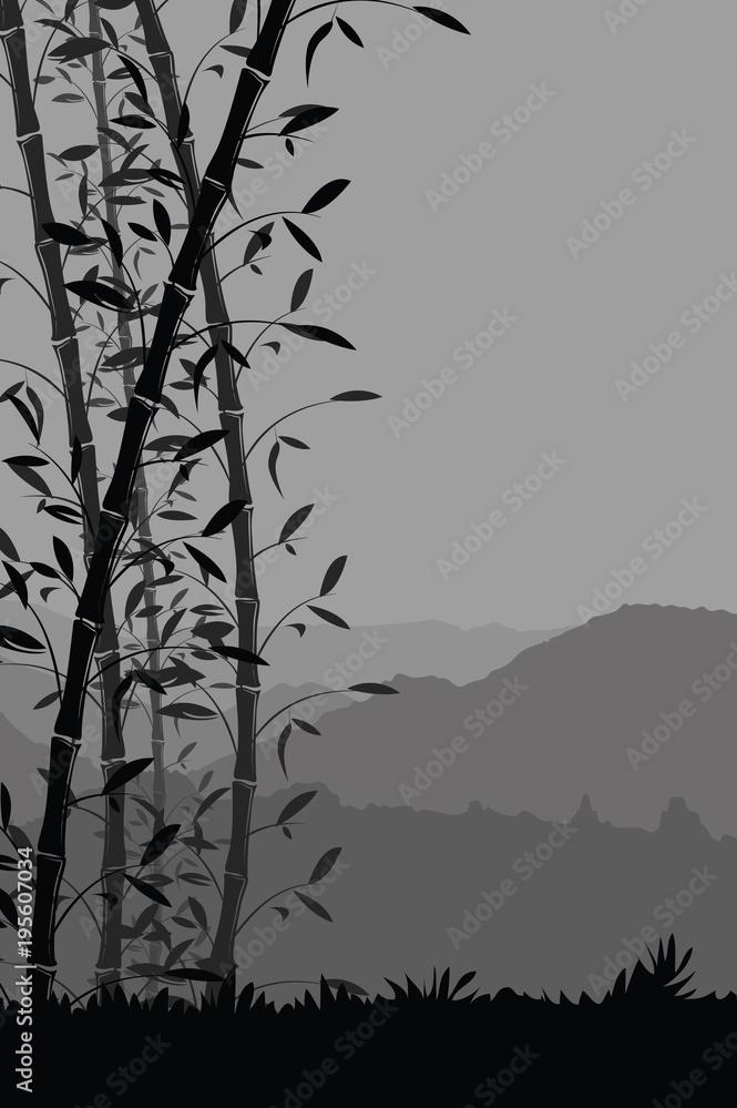 Nature Background With Bamboo Portrait Black And White
