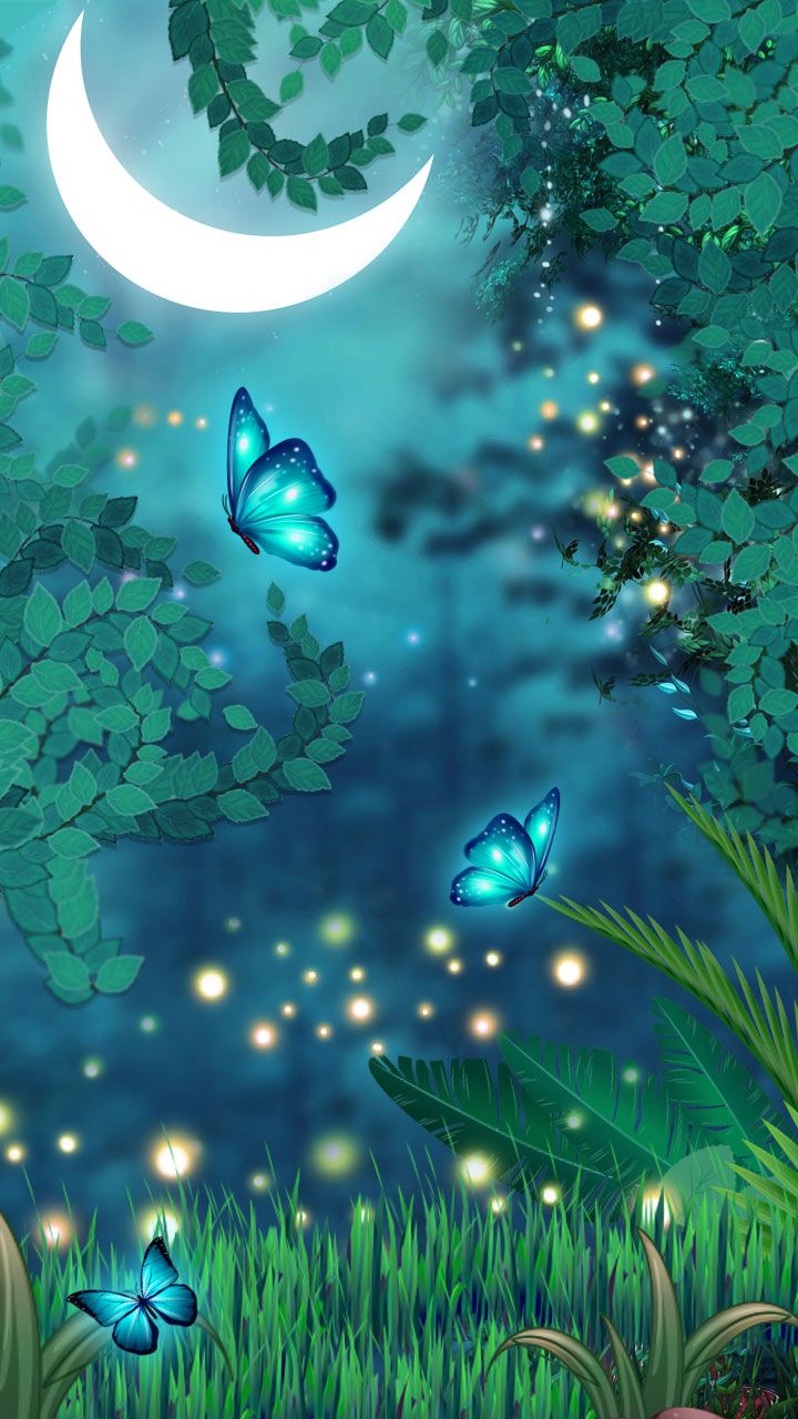 Butterfly Night Neon Blue Nature Magical Butterflies HD