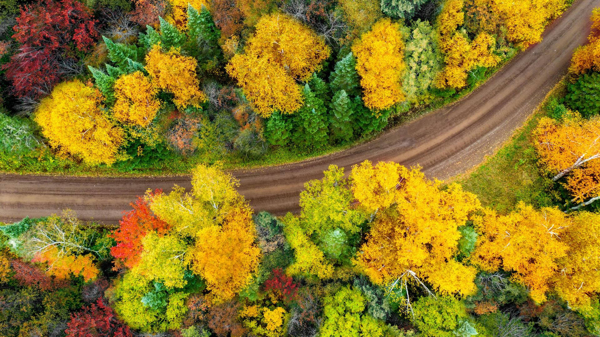 Top Minnesota Wallpaper Full HD 4k To Use