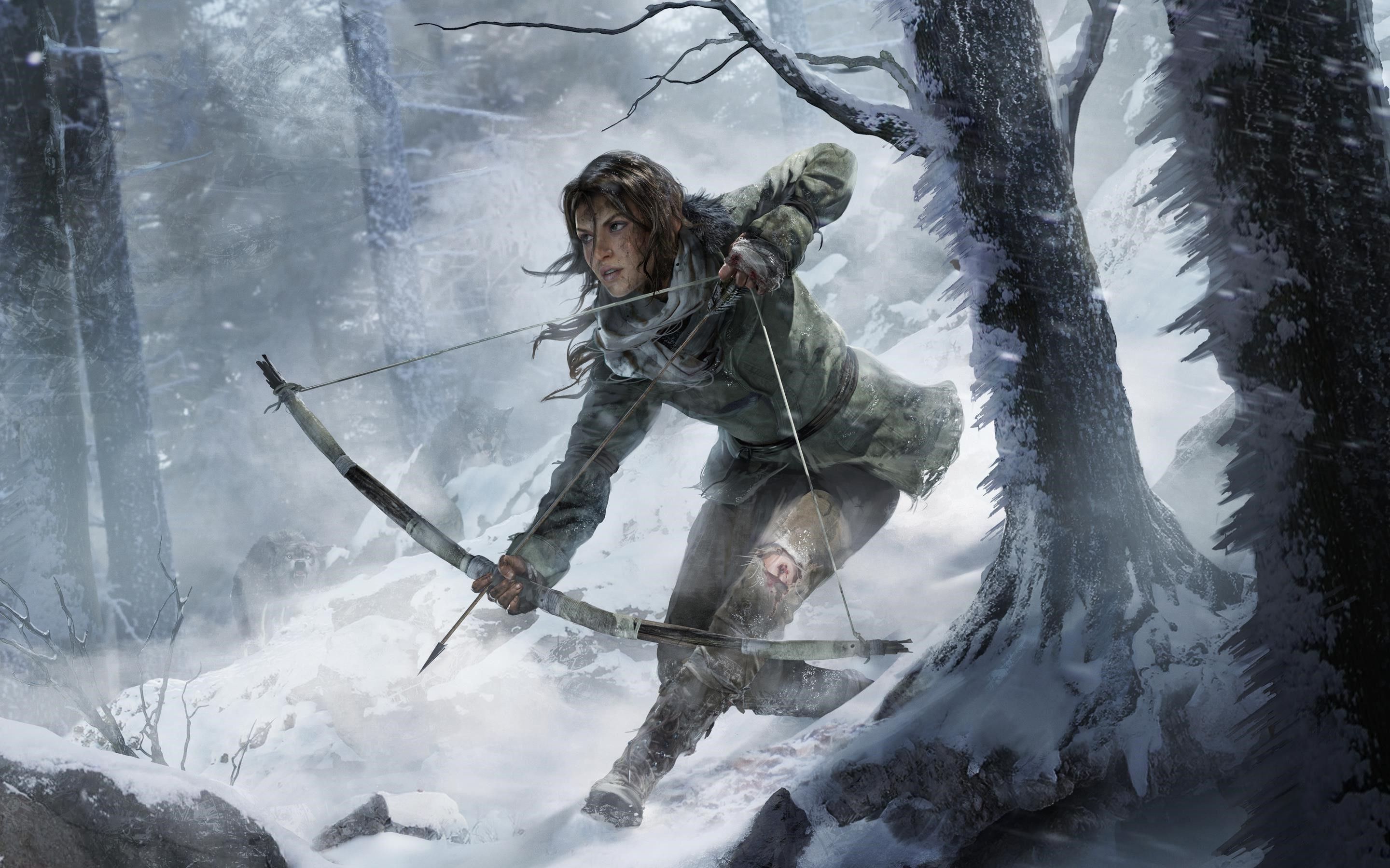 Rise Of The Tomb Raider Wallpaper HD High