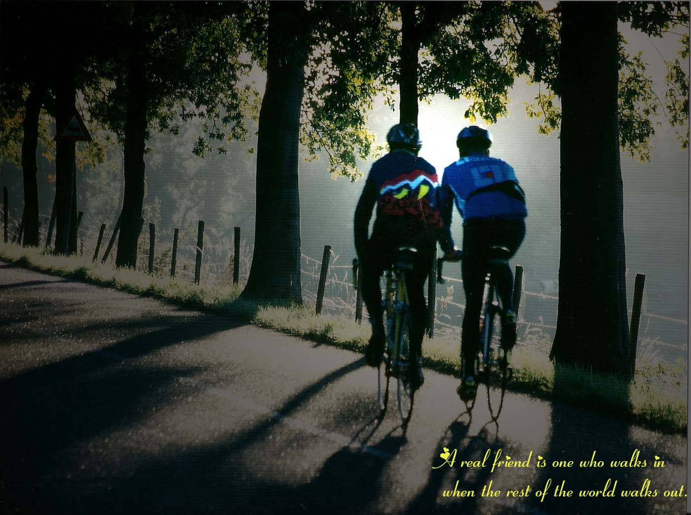 Friendship Wallpaper Greeting Cards Pictures Quotes Fb