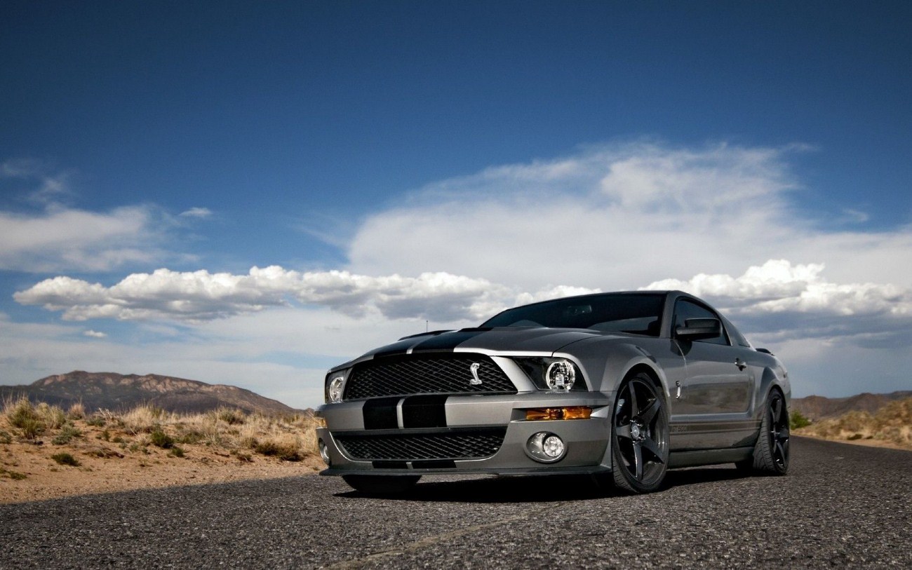 Cool Car Wallpaper Ford Mustang Shelby Cobra Gt500 Photos Of The Chill