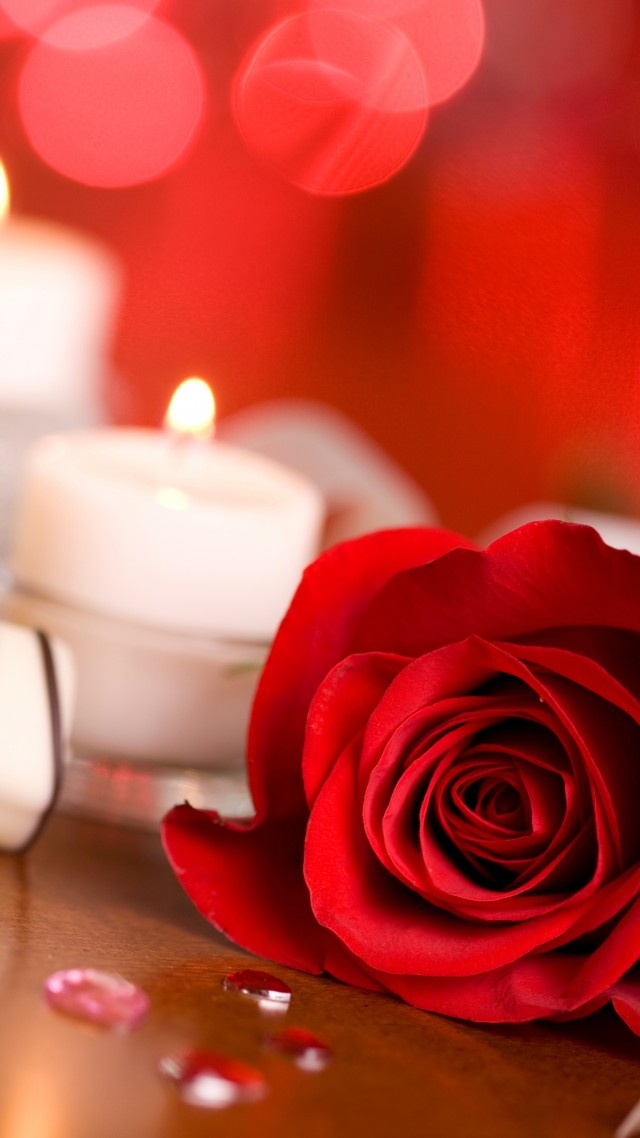 Wallpaper Valentine S Day Rose Candle Ribbon Romantic Love