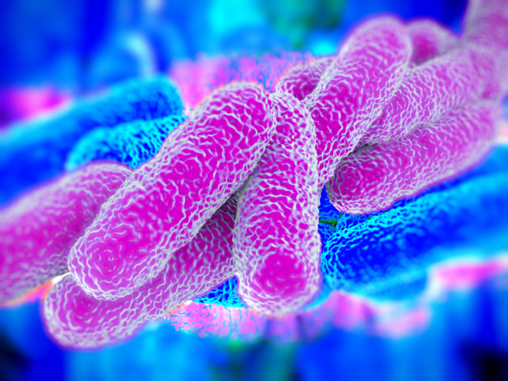 Legionella Water Management Planning Terracon