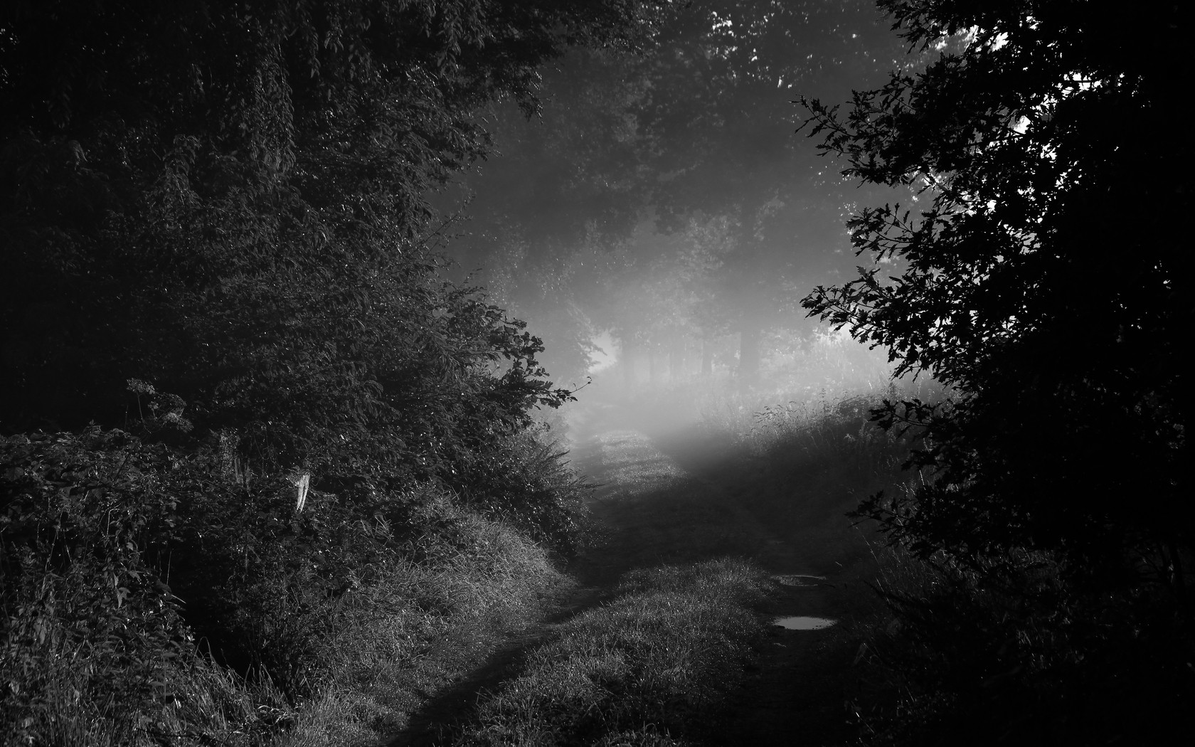 Photography Black White Wallpaper
