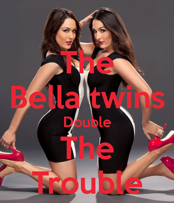The Bella Twins Double Trouble Keep Calm And Carry On Image