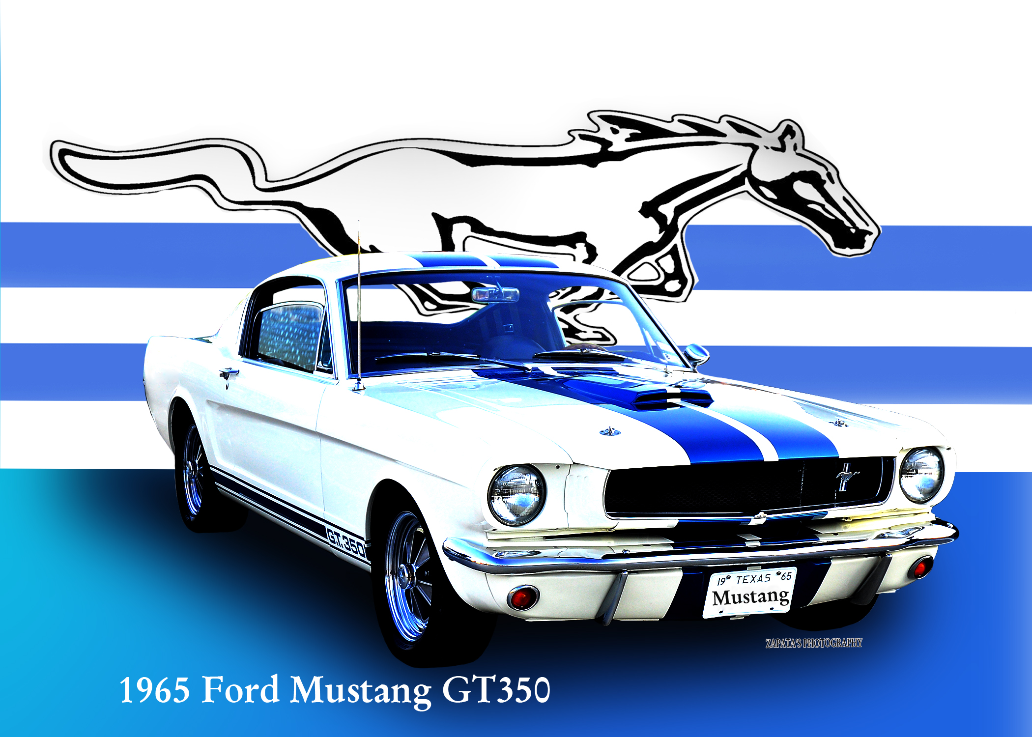 Mustang Gt350 The Ford Spy Photos Of