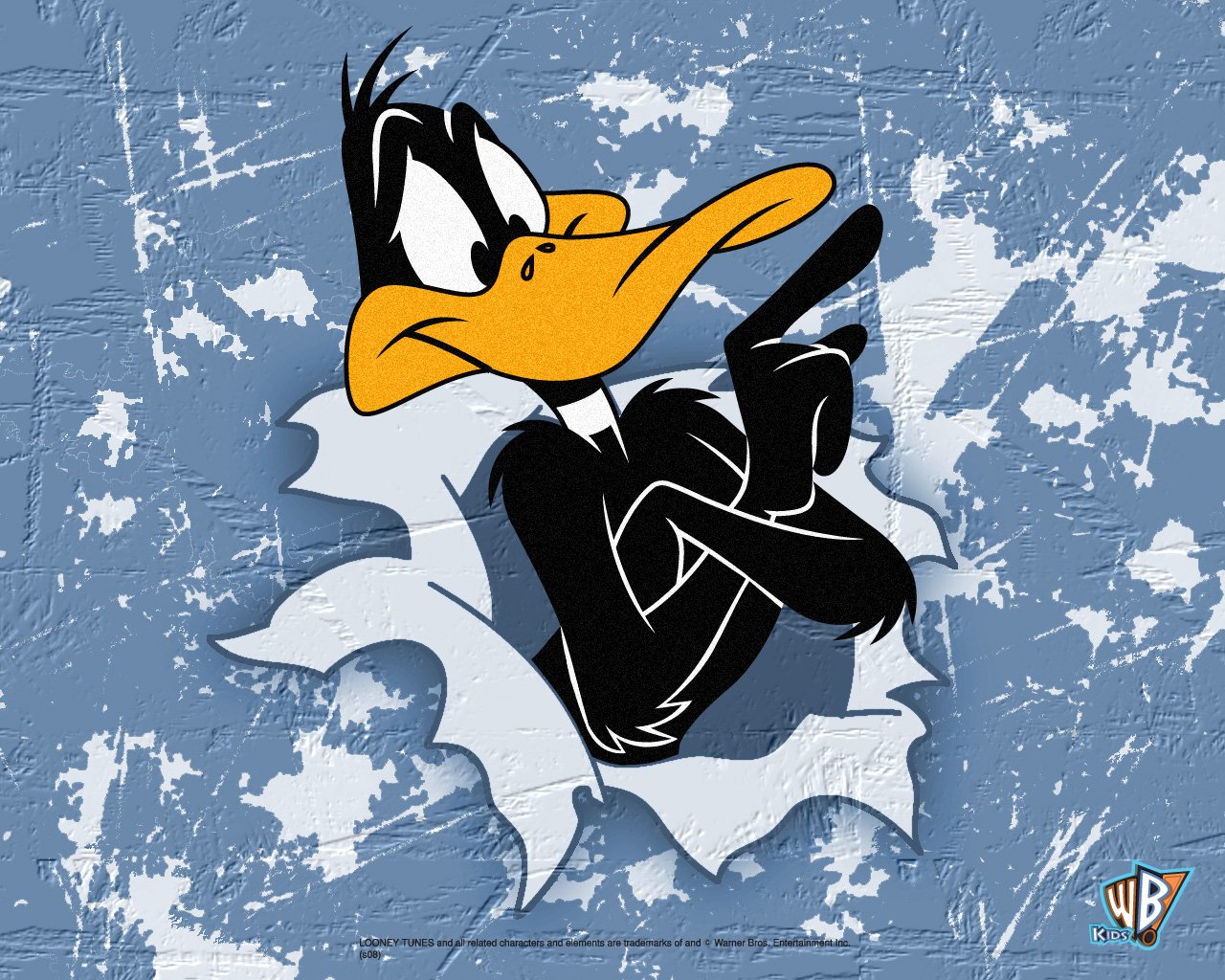 Daffy Duck Bursting Through Looney Tunes Cartoons Wallpaper