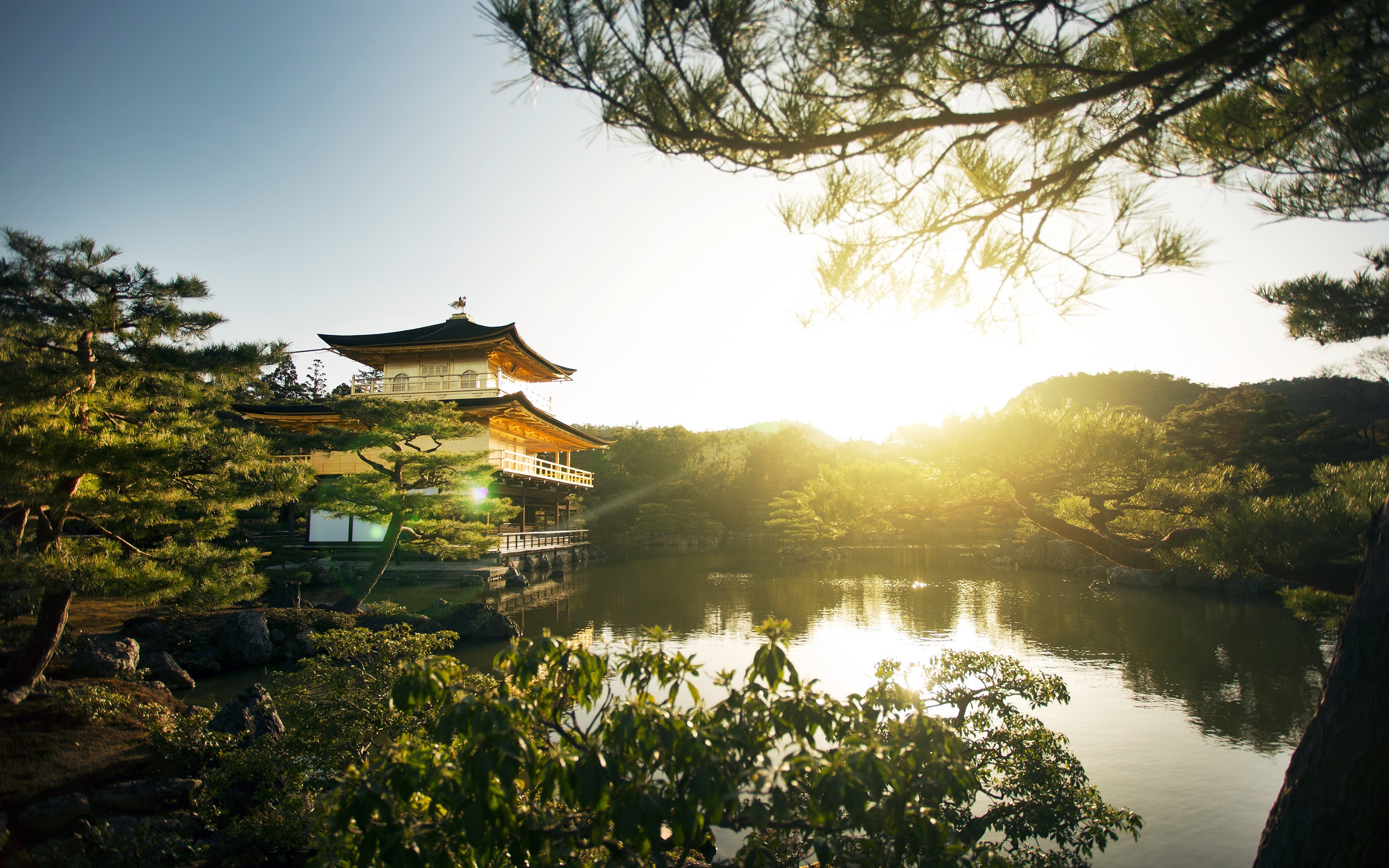 Landscape Nature Sunrise Park Kyoto Trees Lake Pagoda Japan Wallpaper