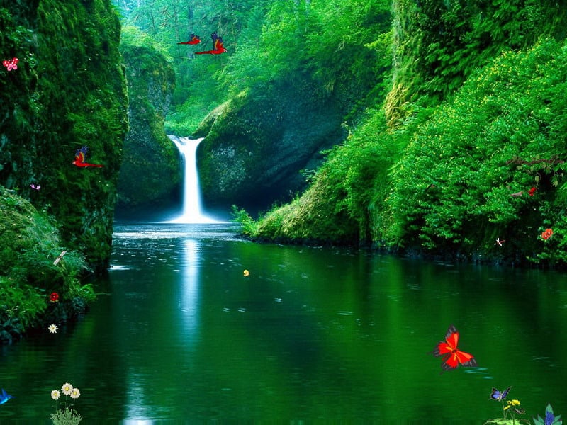  Waterfalls Screensaver   Green Waterfalls   FullScreensaverscom 800x600