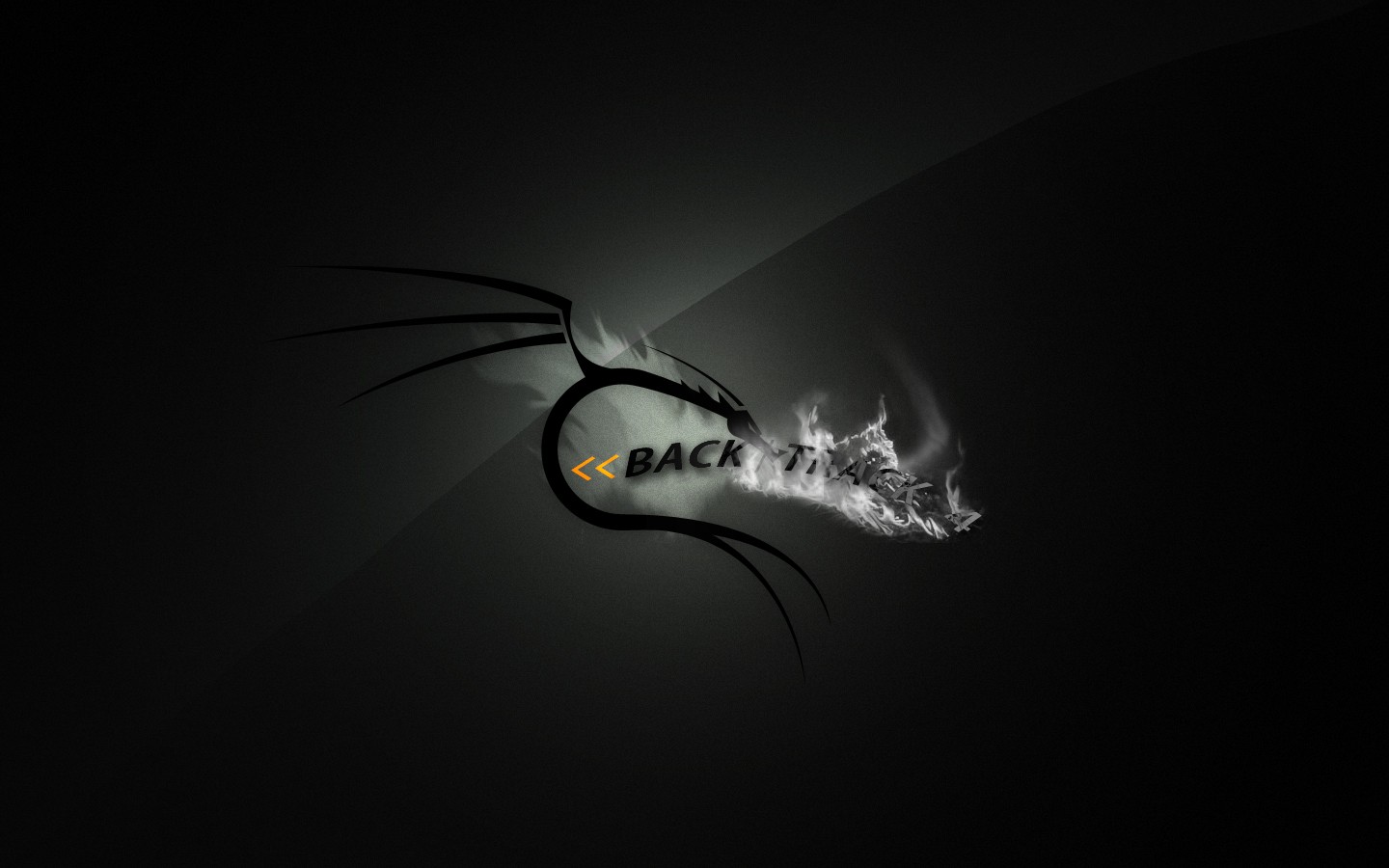 backtrack linux best widescreen background awesome HD Wallpaper of 1440x900
