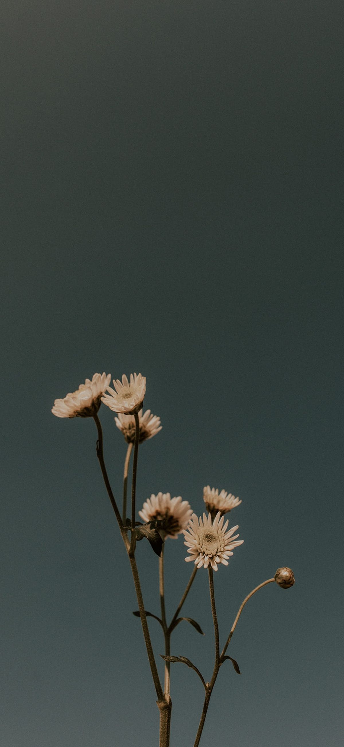 Dark And Sad Wallpaper