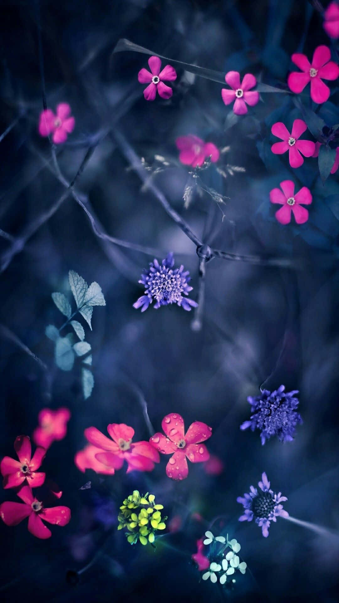 Bunga Background Wallpaper