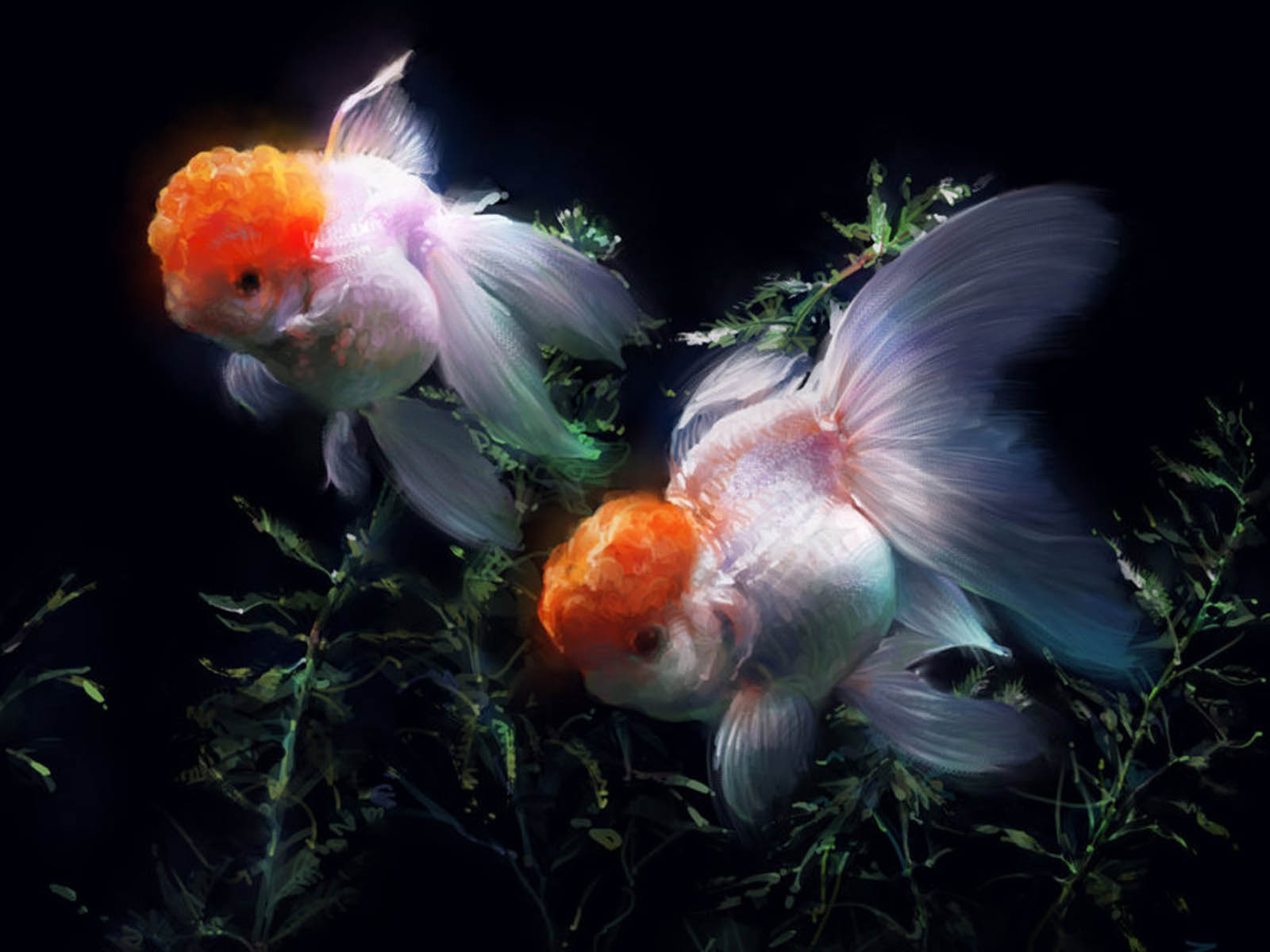 Gold Fish In Water Goldfish Glass Tub Wallpaper Of