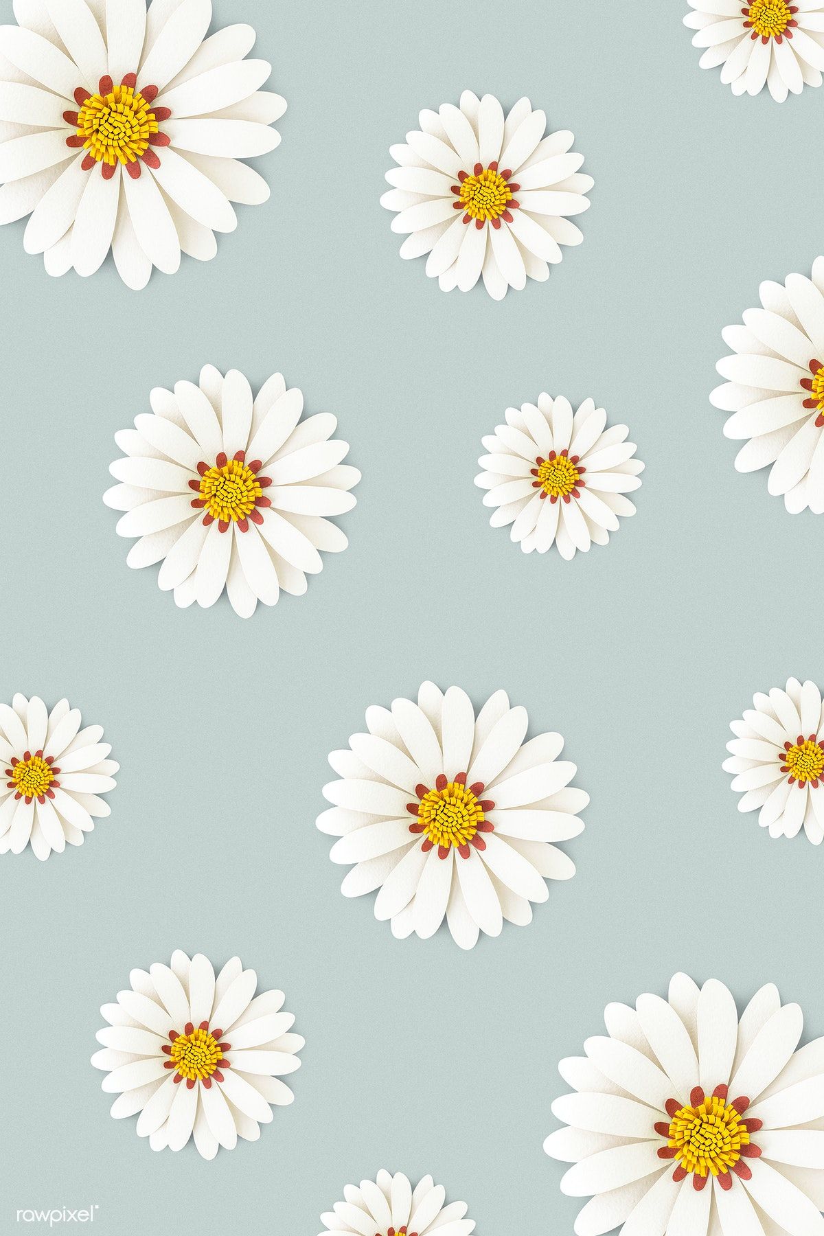 White Daisy Flower On Light Blue Background Wallpaper