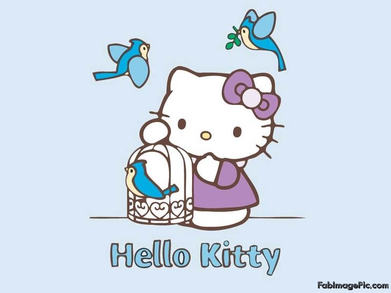 Hello Kitty Hi And High Resolution Wallpaper Size