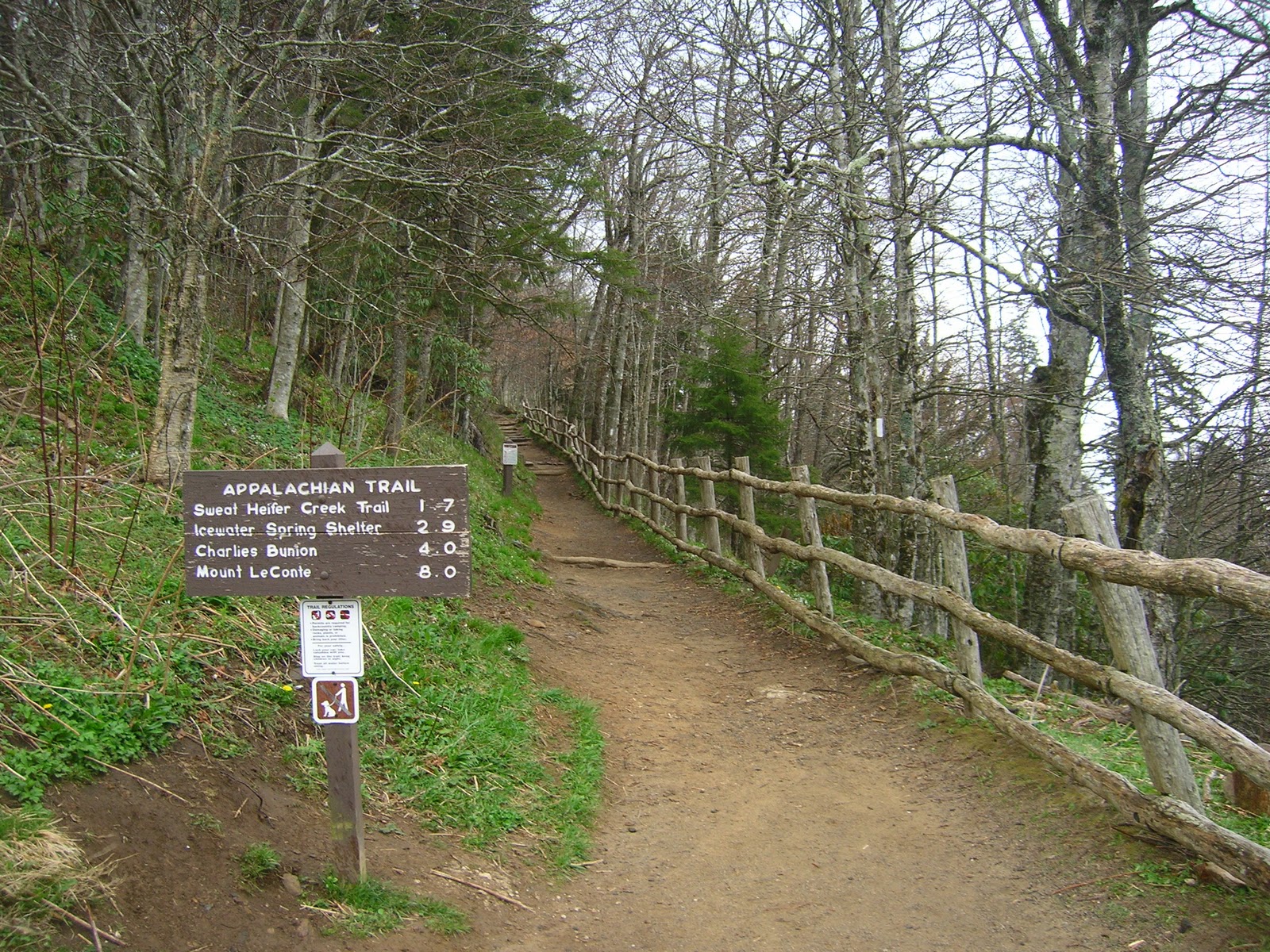 Appalachian Trail Georgia