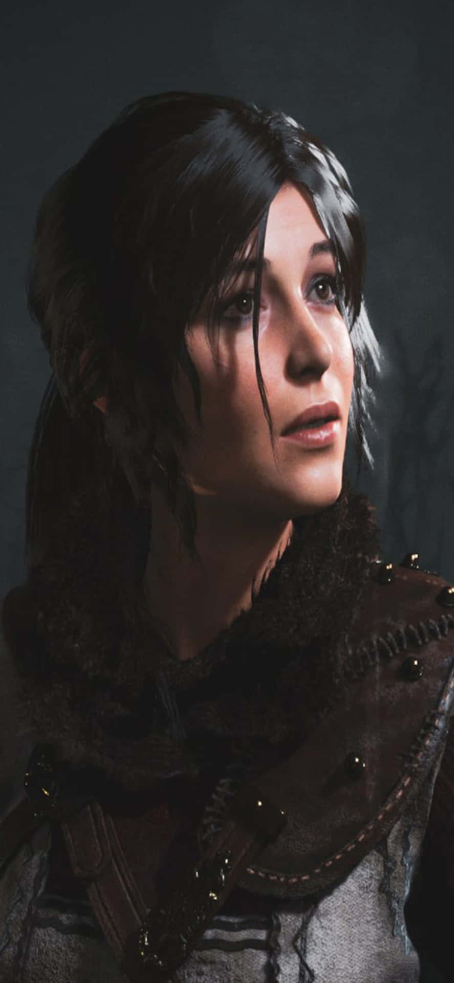 Side iPhone X Rise Of The Tomb Raider Background Wallpaper