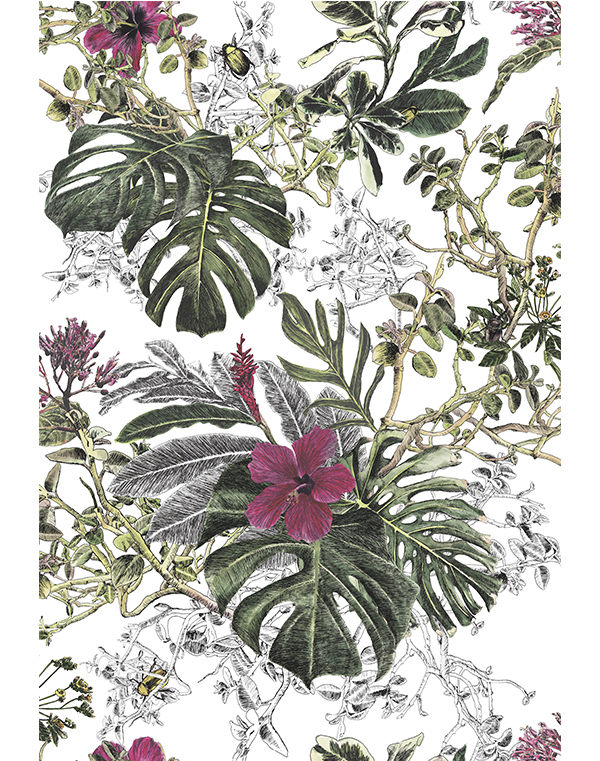 Seasons Summer Tropical Bloom   wallpaper   interior   colour   floral 600x761