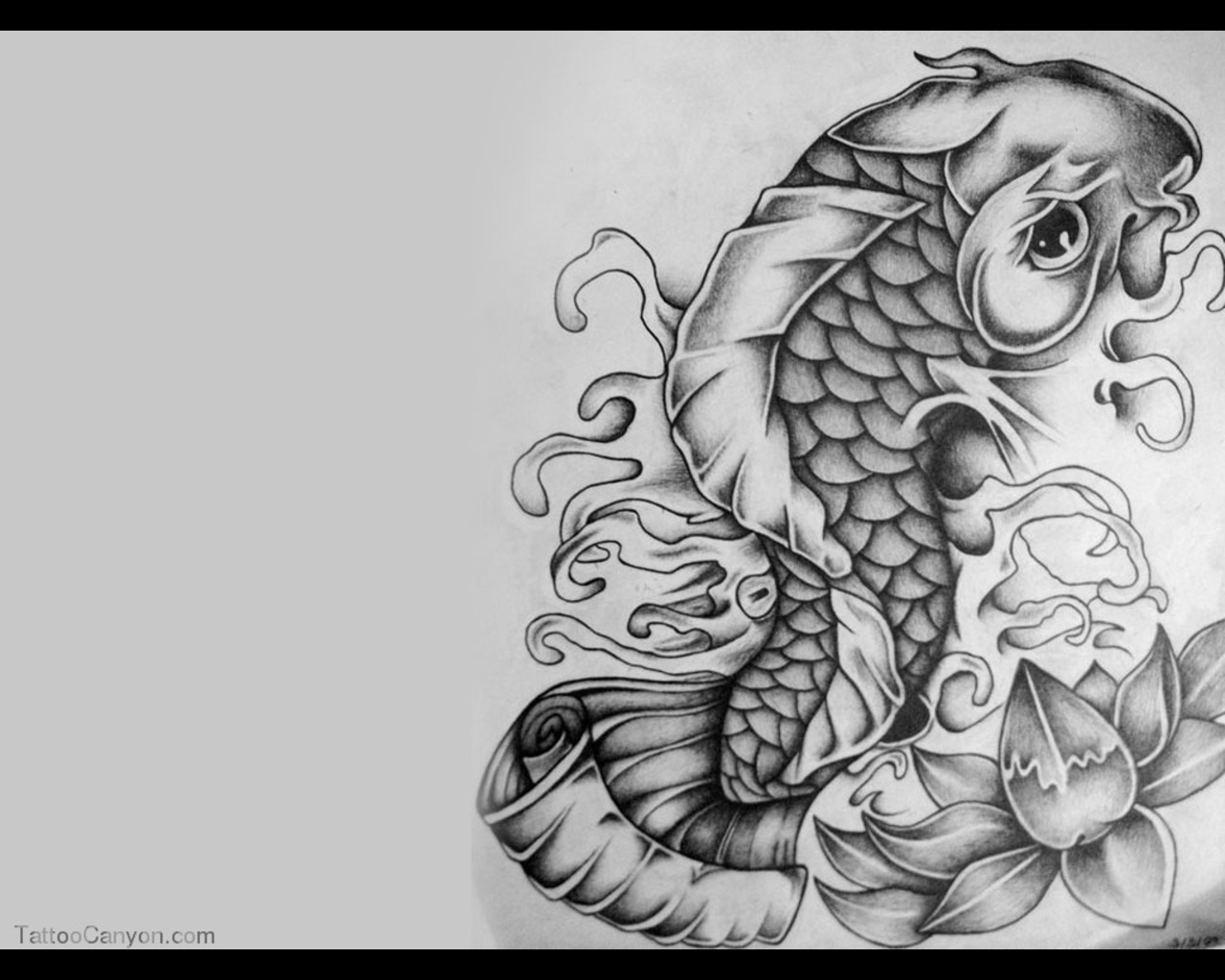 Koi Fish Tattoo Wallpaper Picture