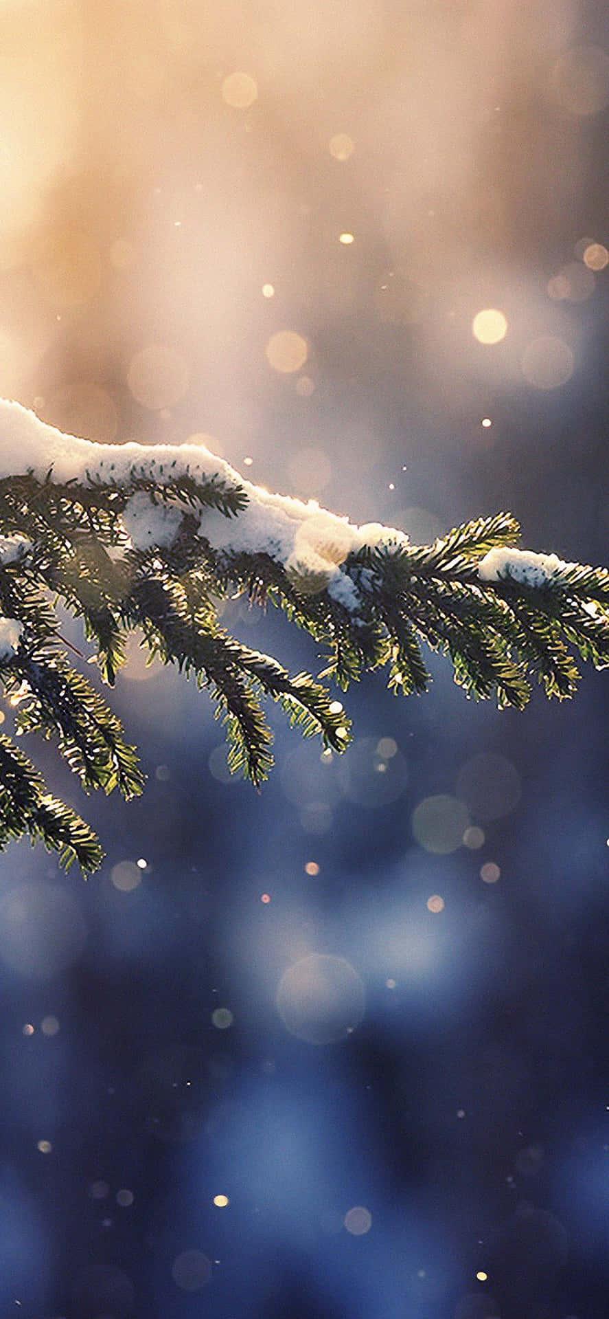 Snow iPhone Wallpaper
