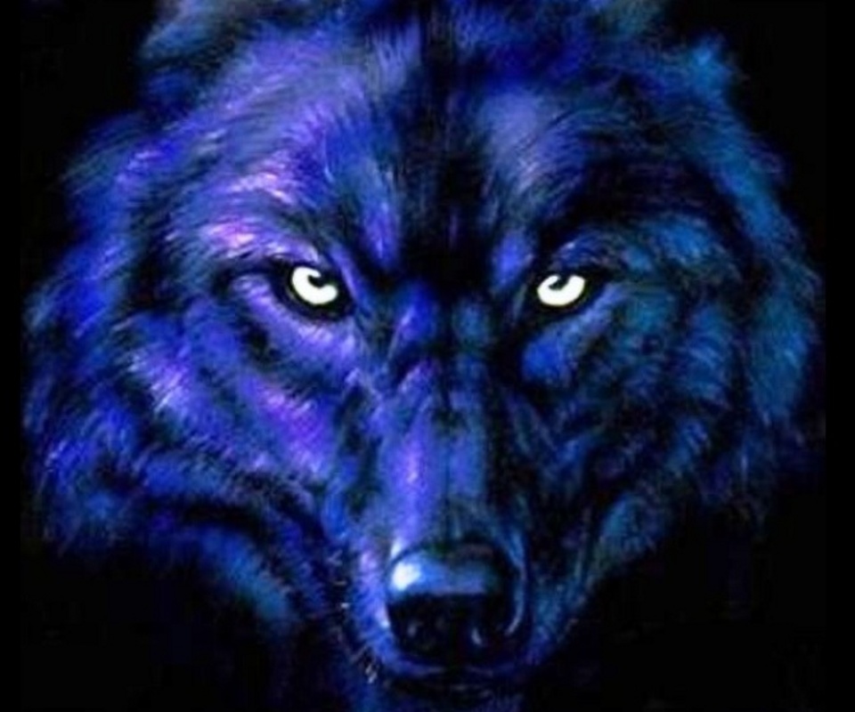 black and blue wolf wallpaper