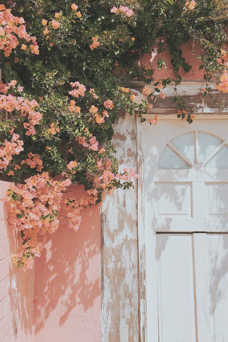 Awesome Peach Aesthetic Wallpaper