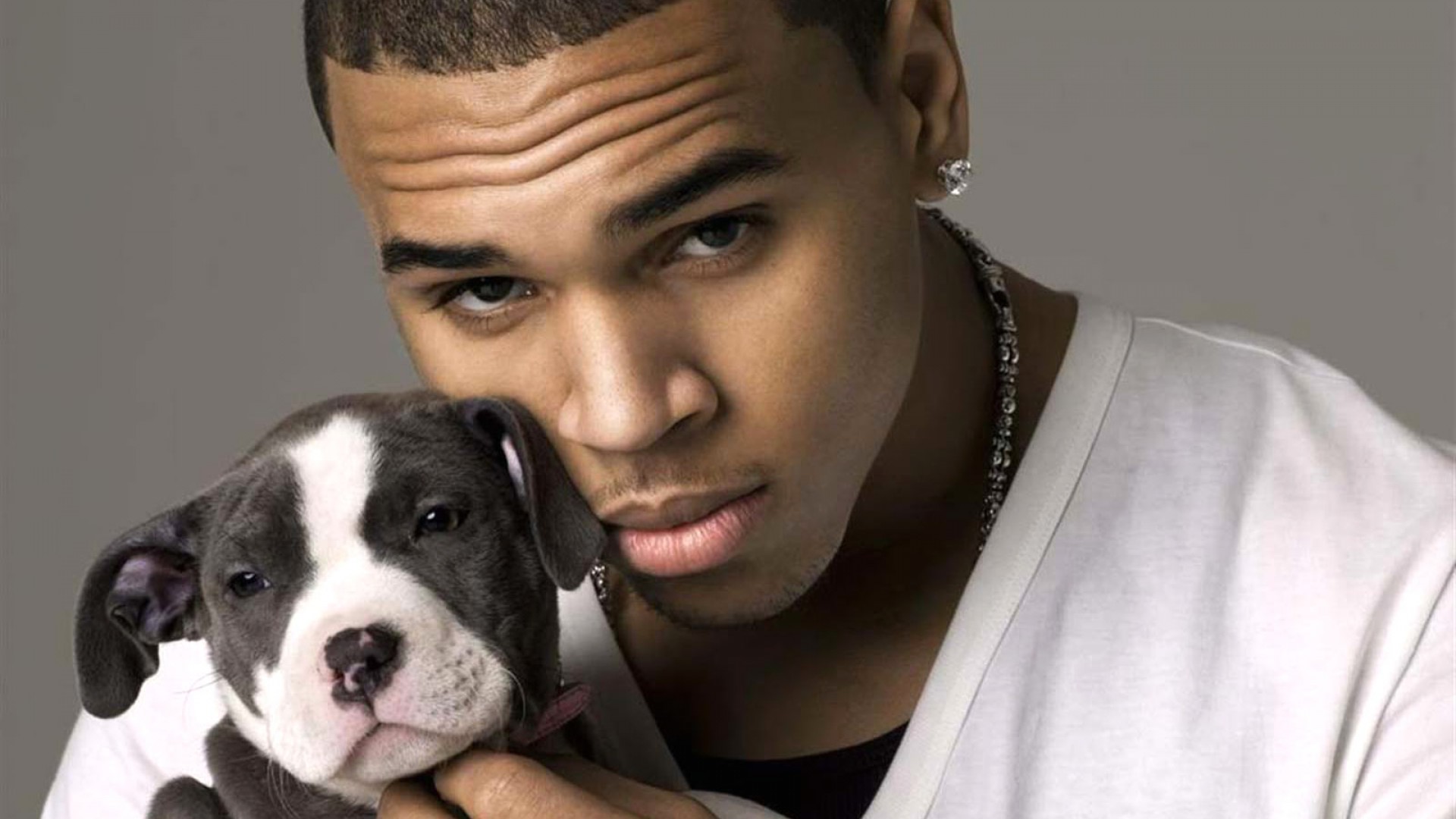 Chris Brown And Puppy Exclusive HD Wallpaper