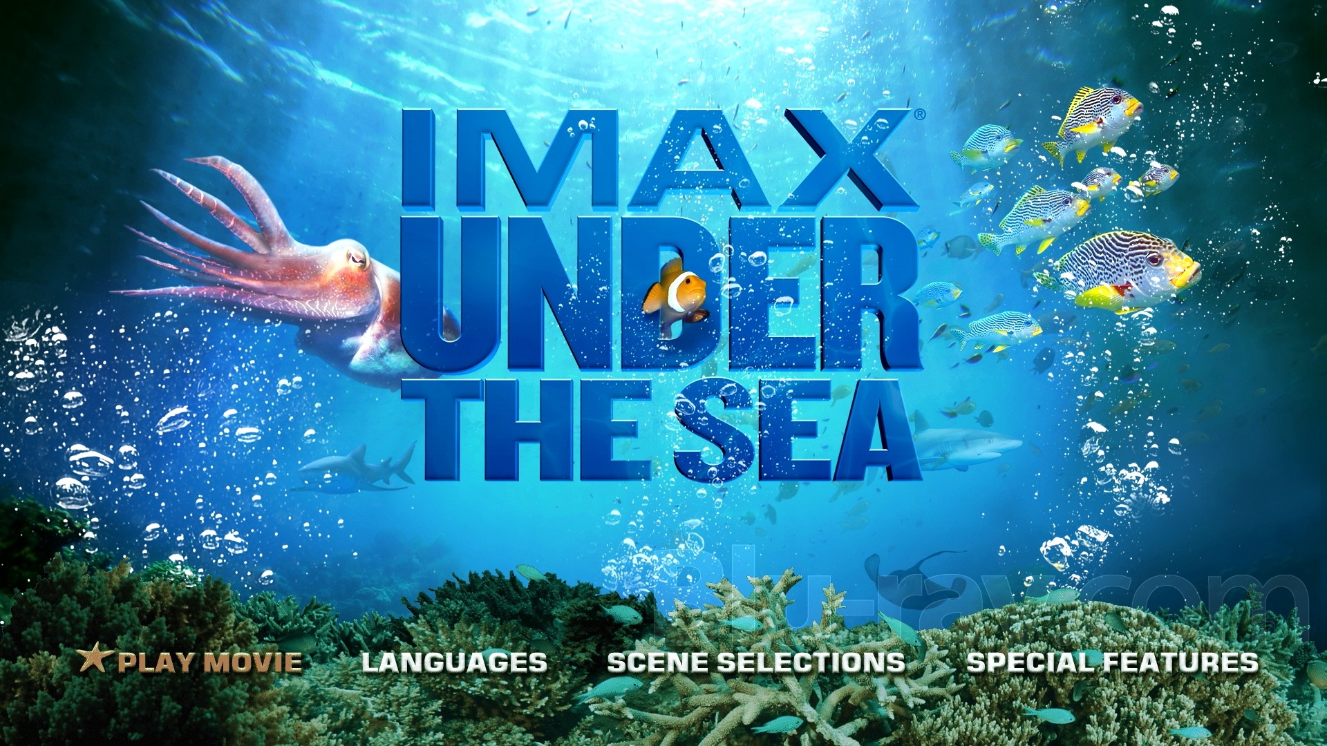 Imax Under The Sea HD