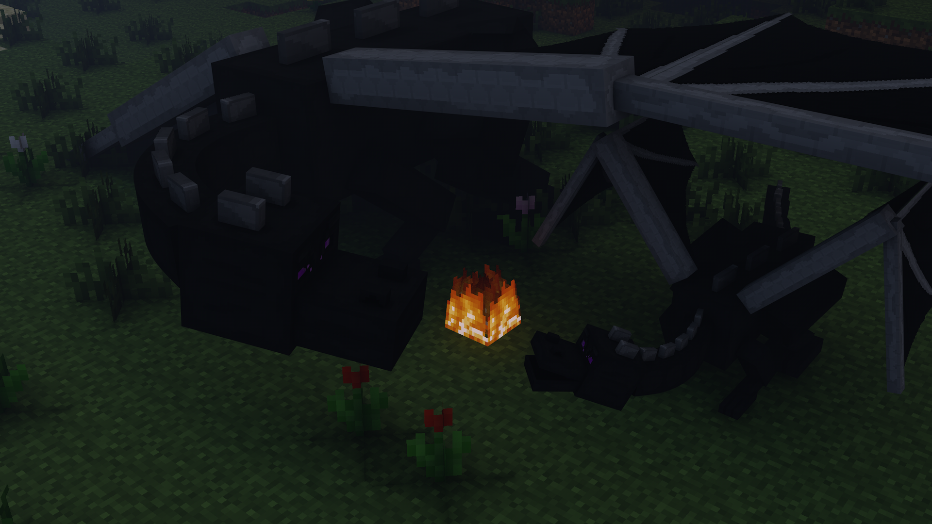 Ender Dragons HD Wallpaper Background Image Id
