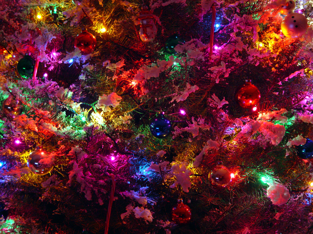 Christmas Bright Colors Wallpaper