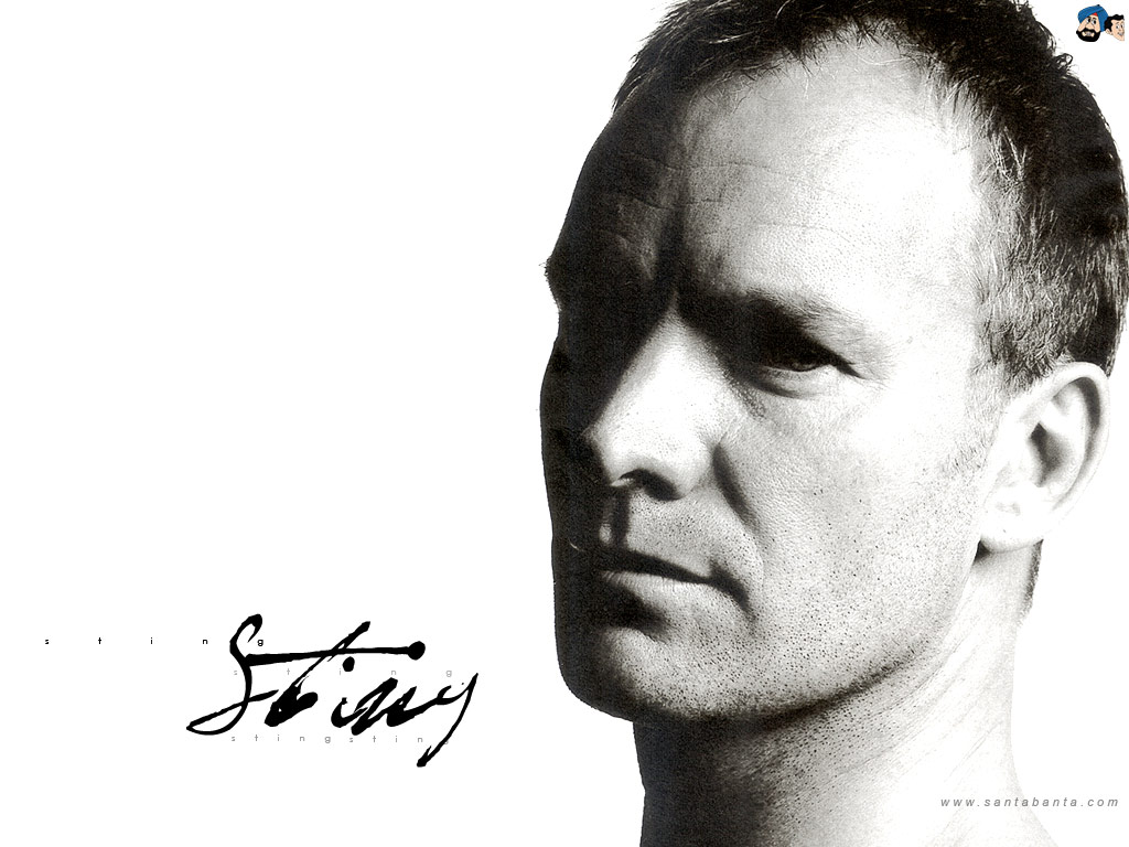 Sting Image HD Wallpaper And Background Photos