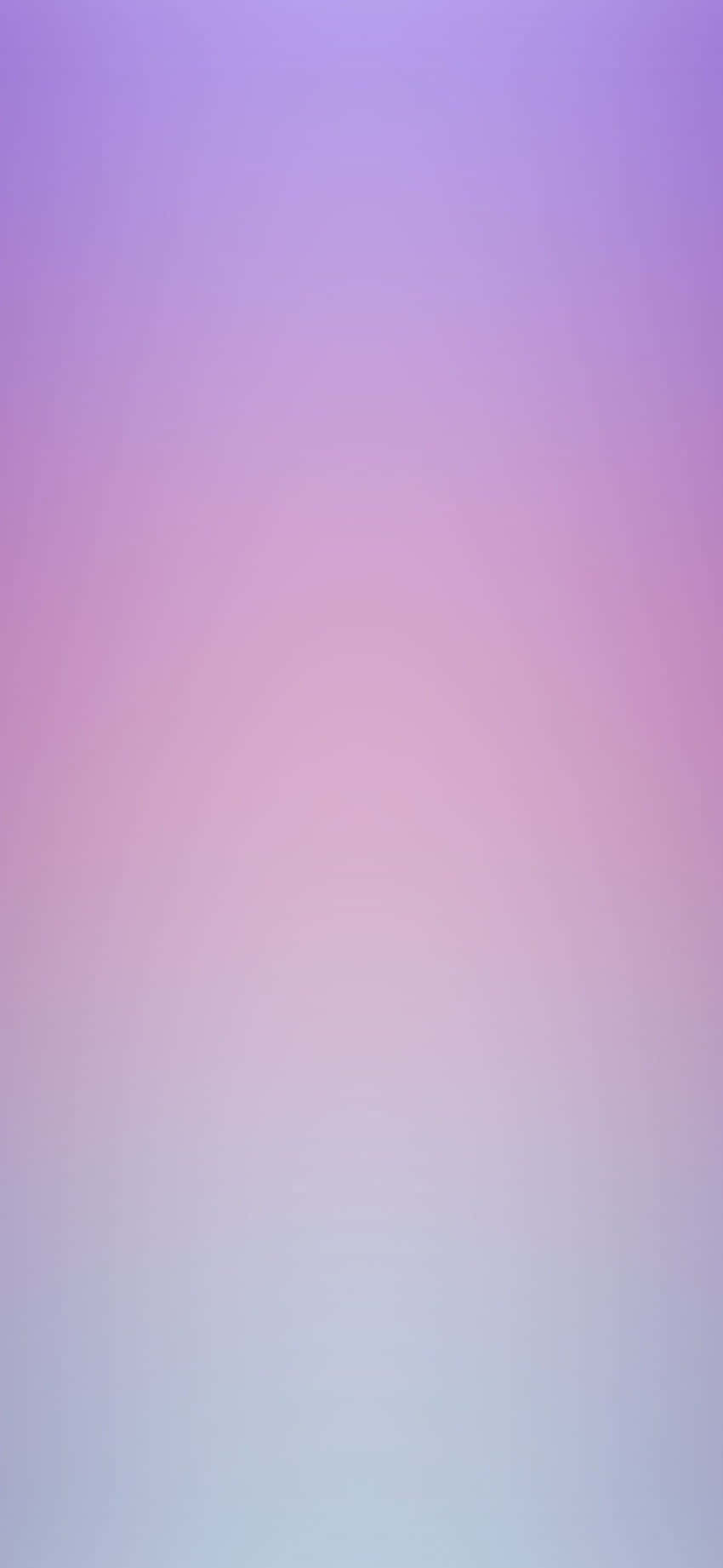 Lilac Color Wallpaper