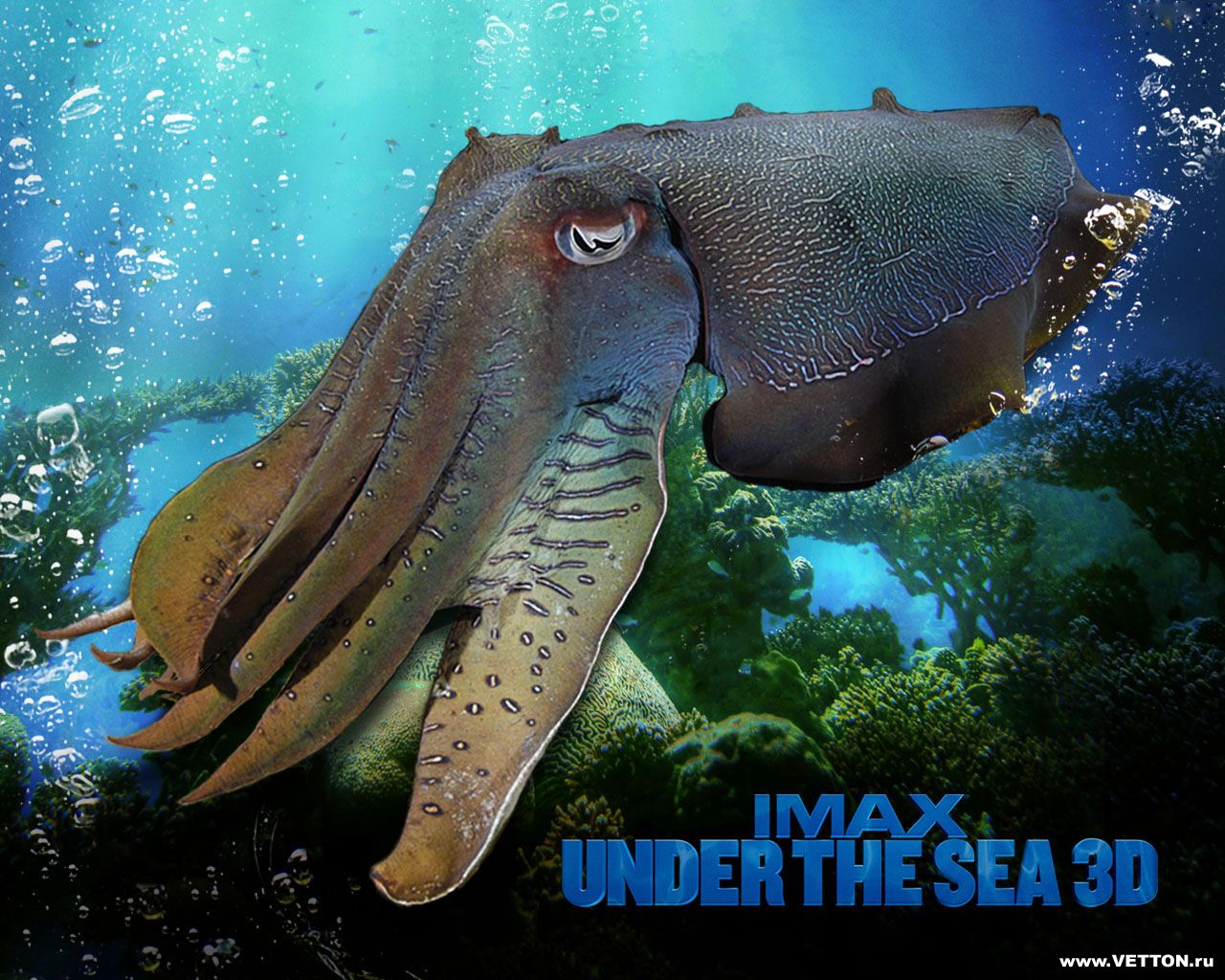 Imax Under The Sea 3d Wallpaper E Entertainment