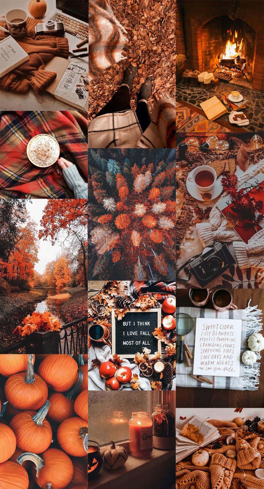 Cute Autumn Cozy Aesthetic Wallpaper
