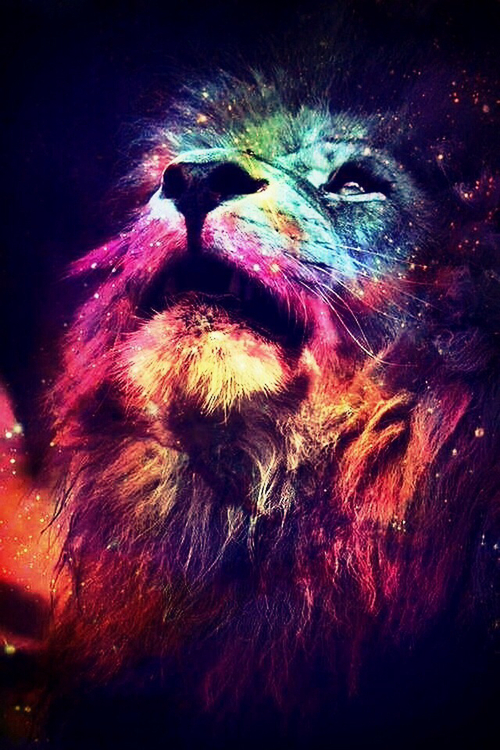 Beautiful Backrgound Colorfull Galaxy Lion Tiger Wallpaper
