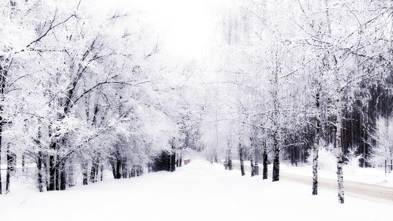 Which Is Under The Winter Wallpaper Category Of HD