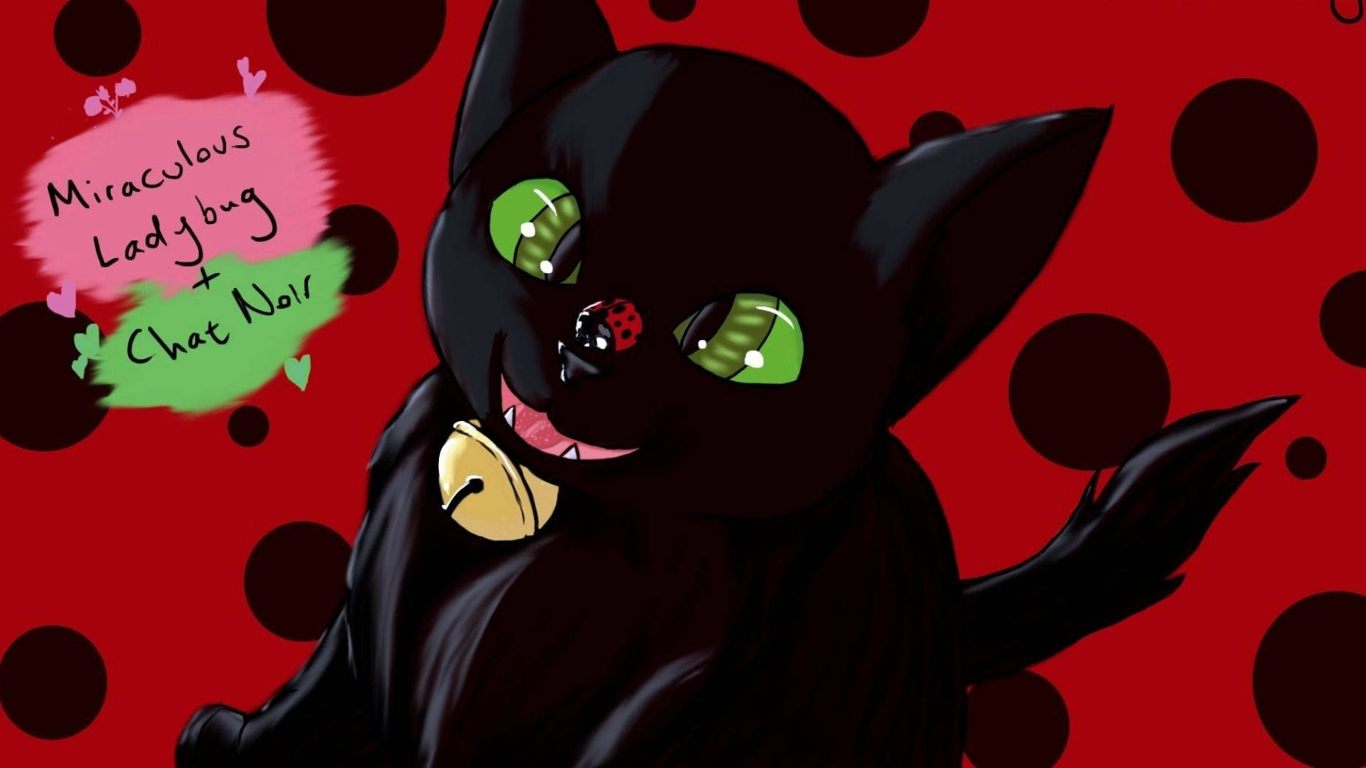 Top Cat Noir Wallpaper Full HD 4k To Use