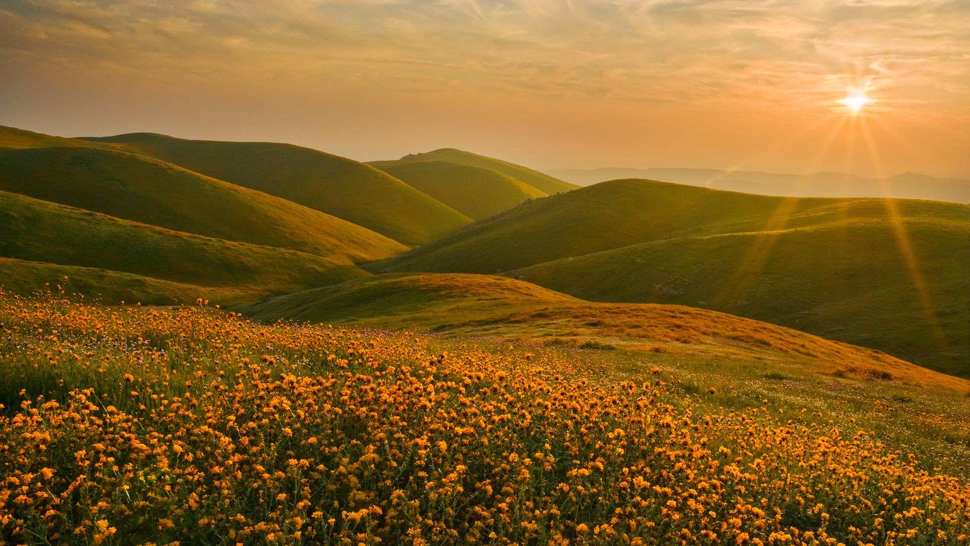 Amazing Landscape Wallpaper Full HD X Px