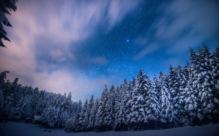 Night Snow Winter Forest Sky Clouds Landscapes Wallpaper Background
