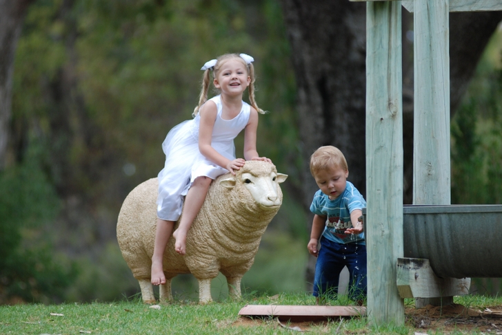 Sheep Farm Life Children Wallpaper High Quality