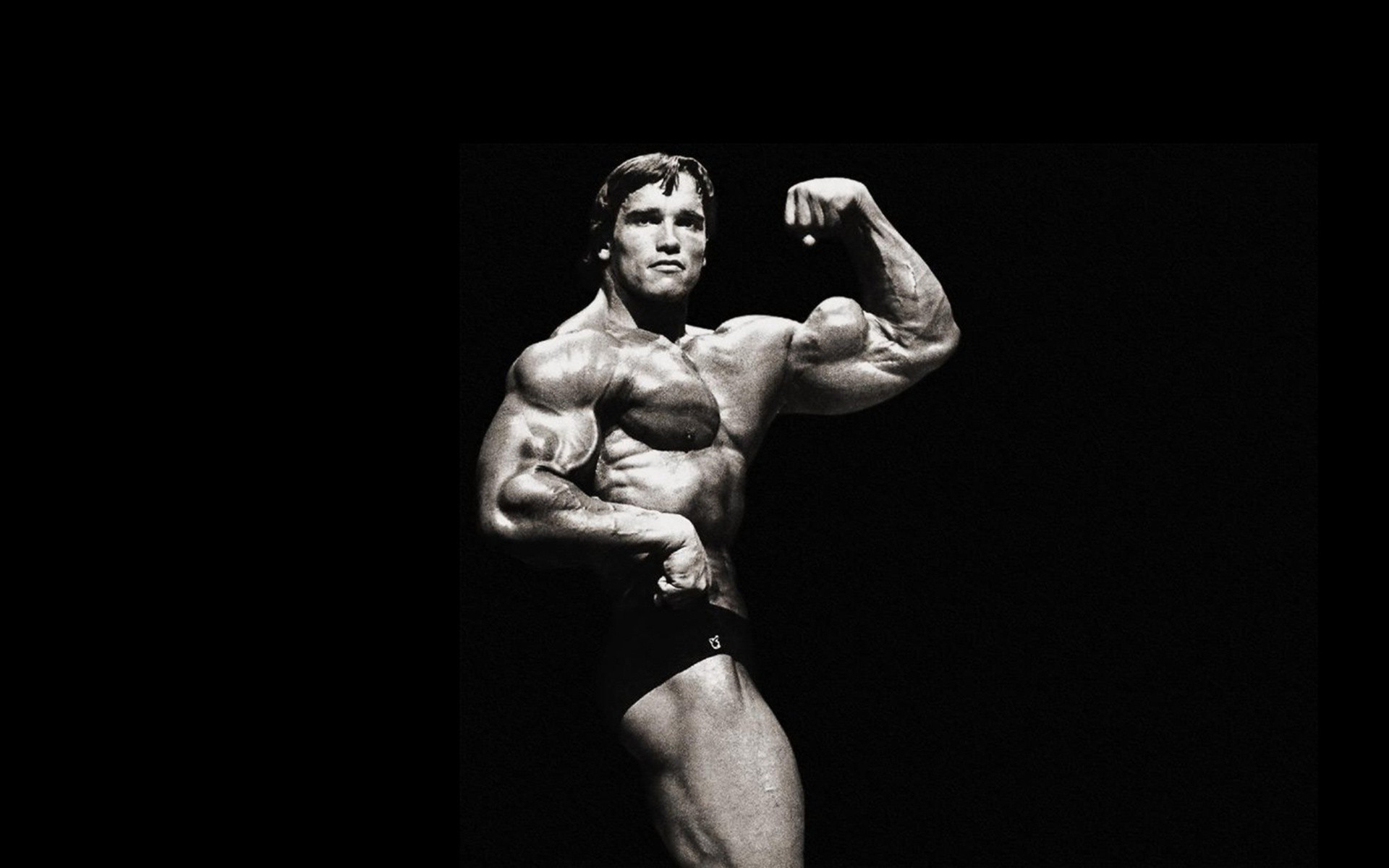 Pics Photos Schwarzenegger Wallpaper Arnold