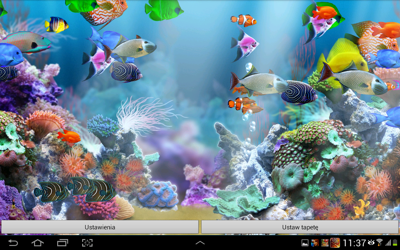 aquarium live wallpaper is an amazing quality active wallpaper now you