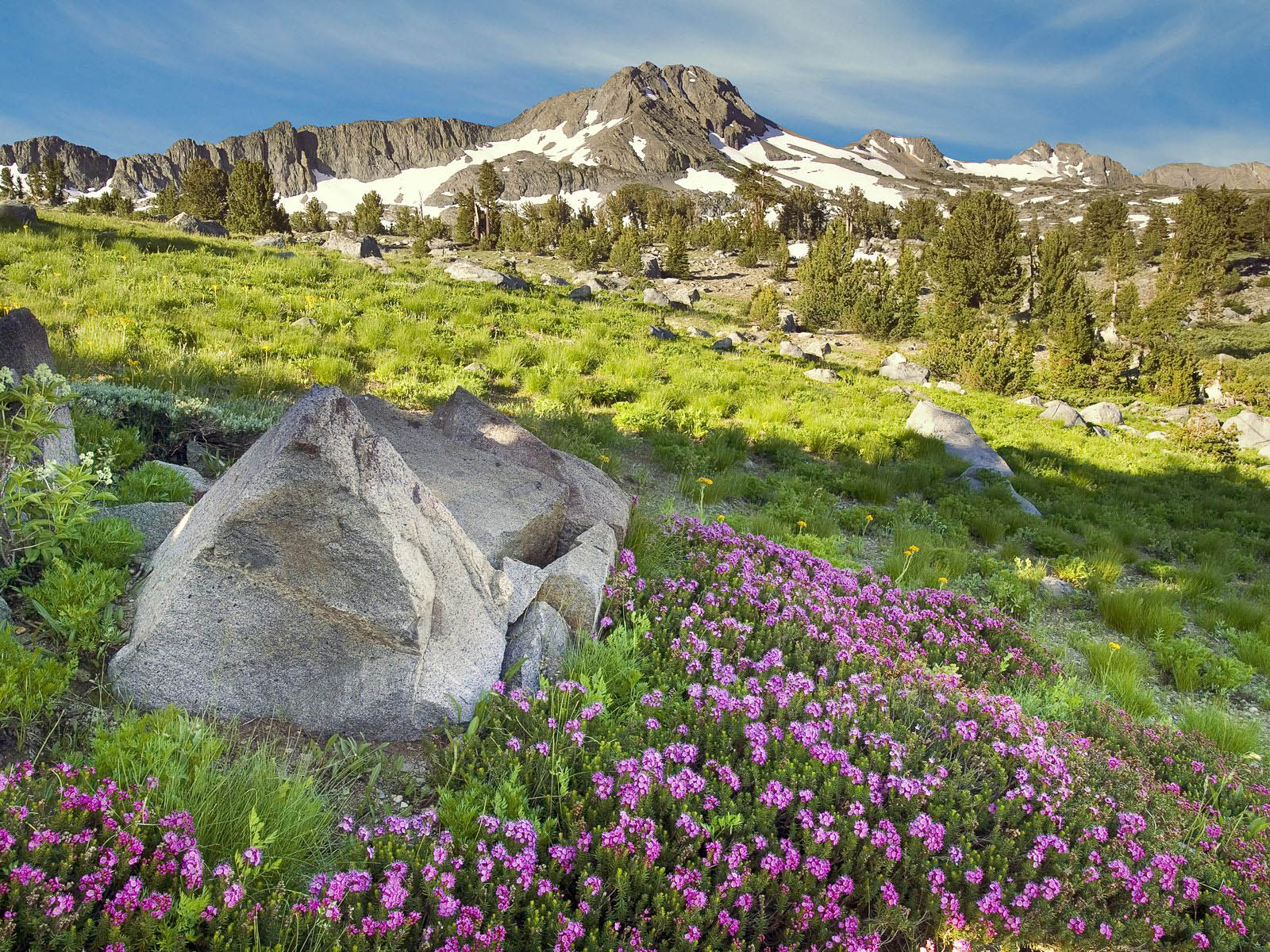 wallpaper Spring Desktop Wallpapers and Backgrounds