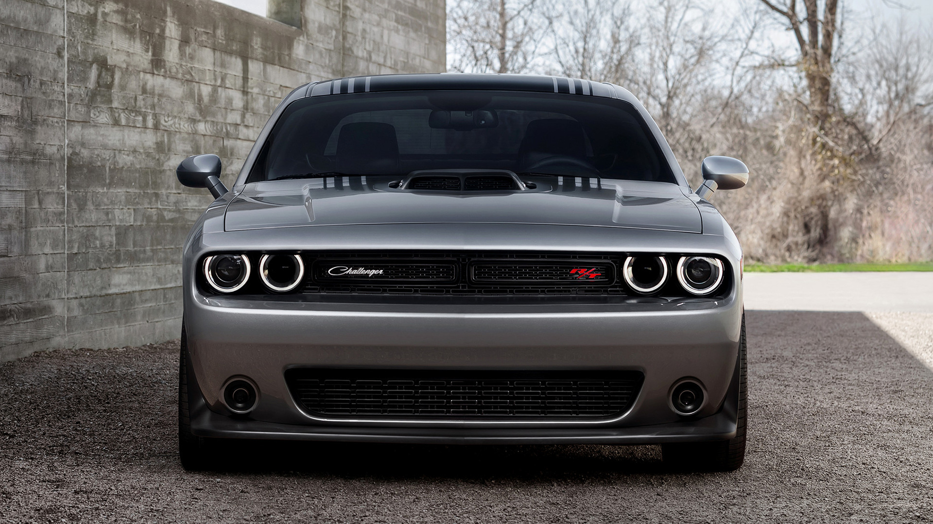 Great Dodge Challenger Wallpaper Full HD Pictures