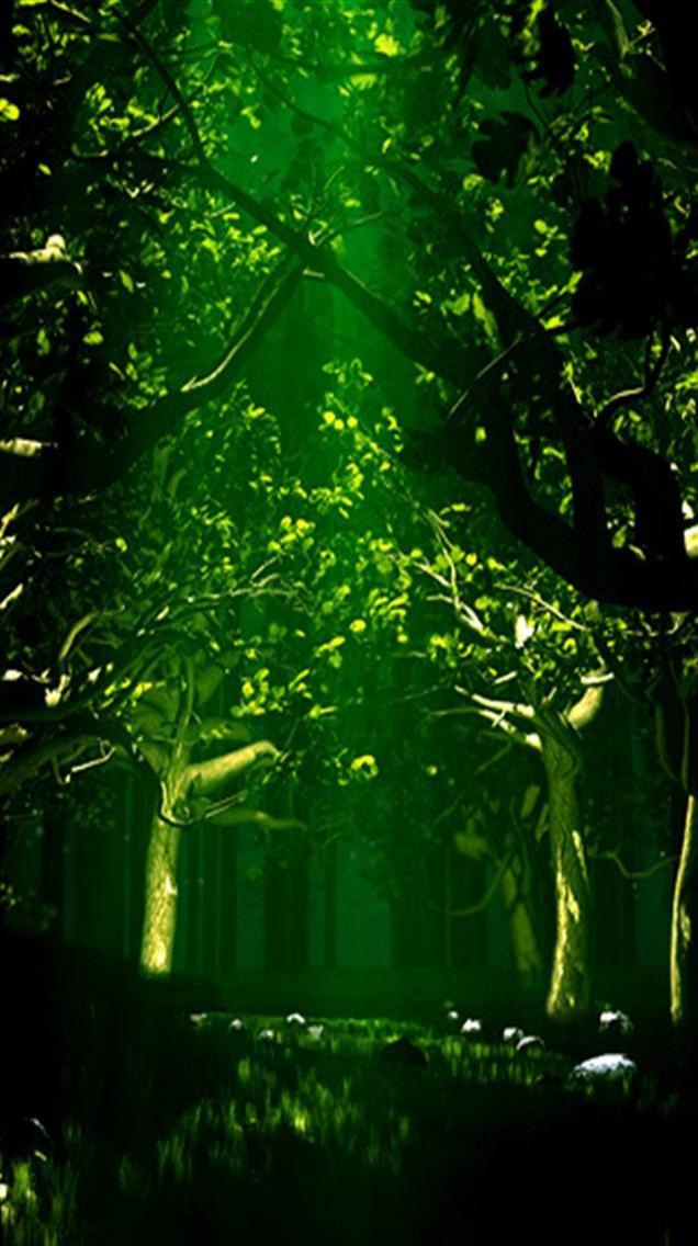 Dark Forest Iphone Wallpaper Green Forest Iphone Wallpapers
