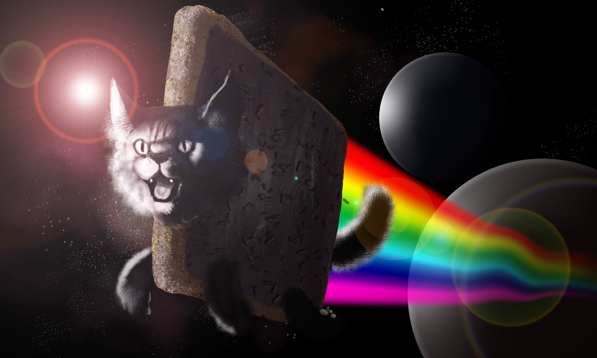 Nyan Cat HD Wallpaper And Background